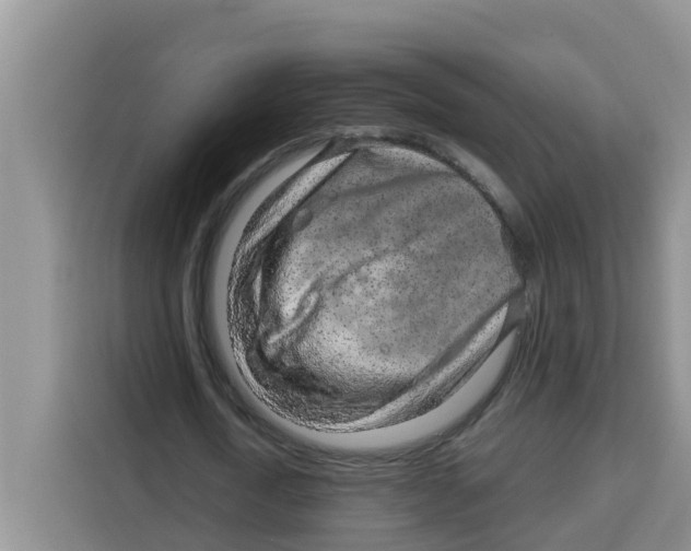 X0000115150722200911241528