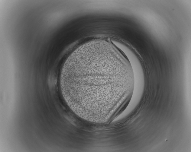 X0000115150723200911241528