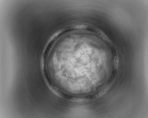 X0000115150726200911241528