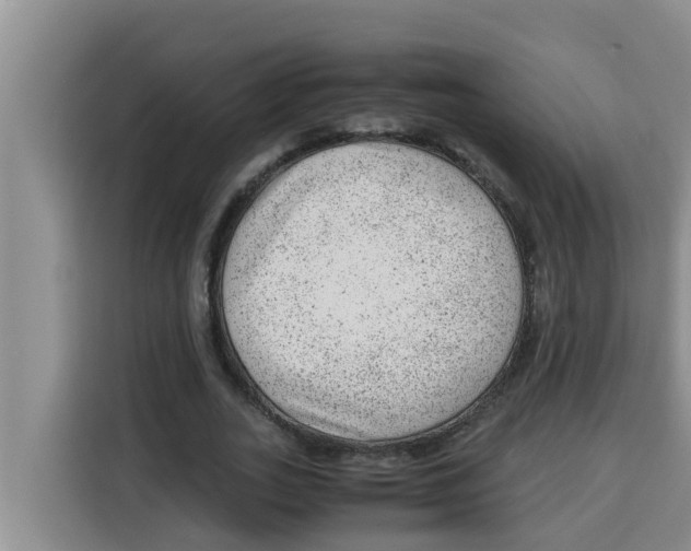 X0000115150727200911241528