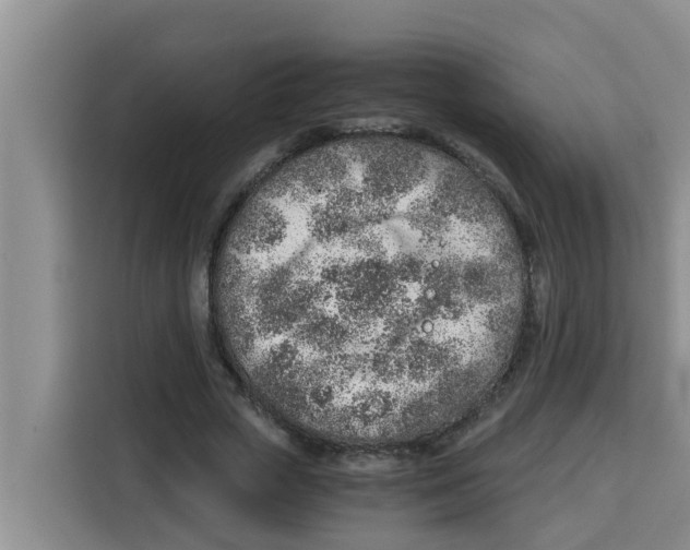 X0000115150729200911241528