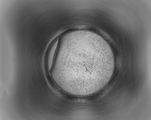 X0000115150730200911241528