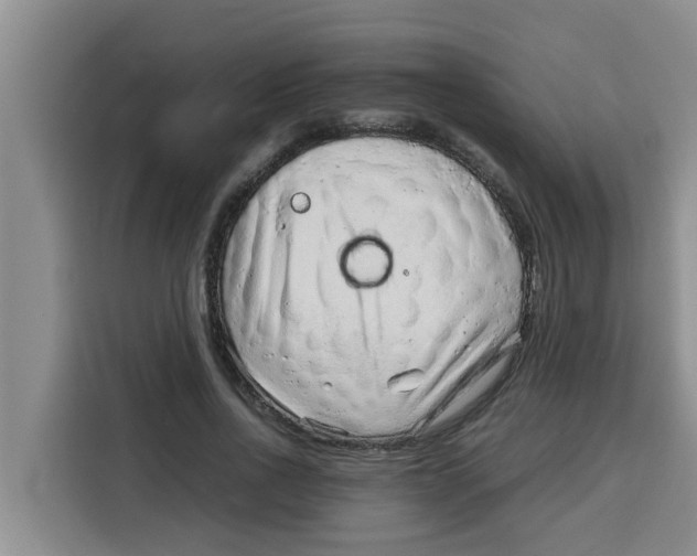 X0000115150734200911241528