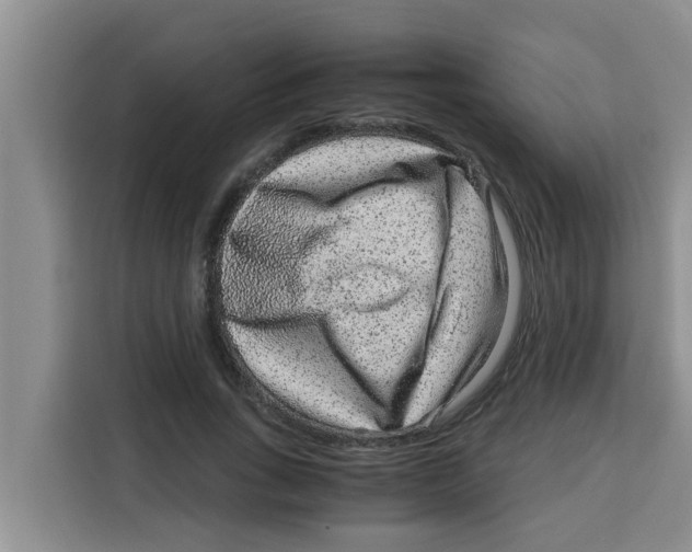 X0000115150735200911241528