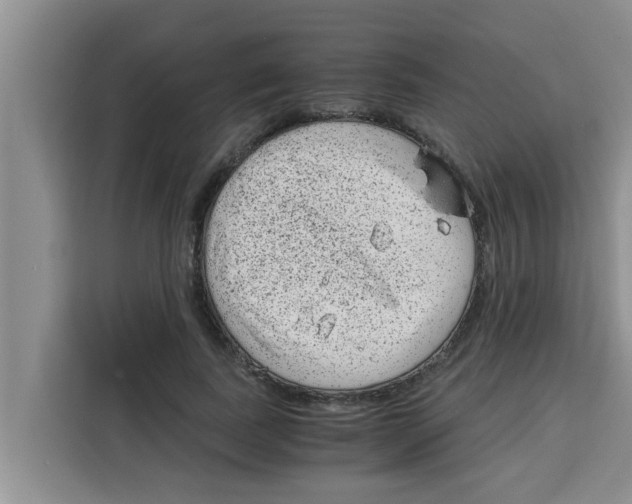 X0000115150739200911241528