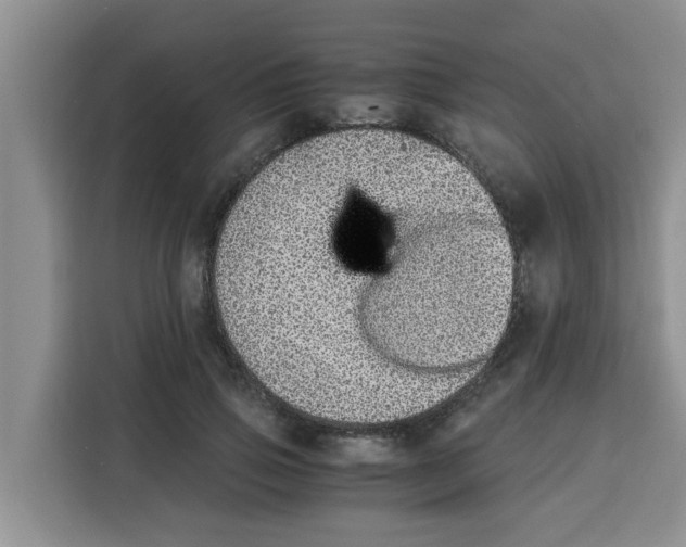 X0000115150741200911241528