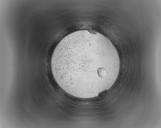 X0000115150743200911241528