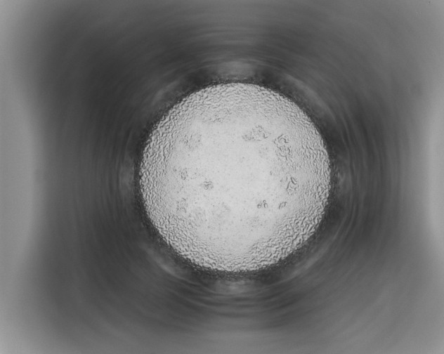 X0000115150745200911241528