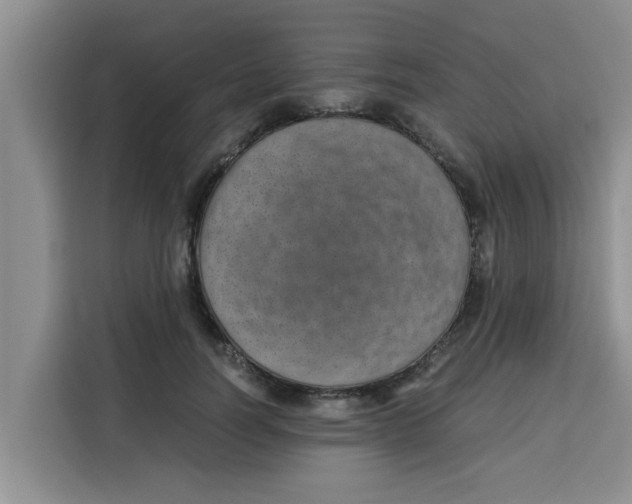 X0000115150746200911241528