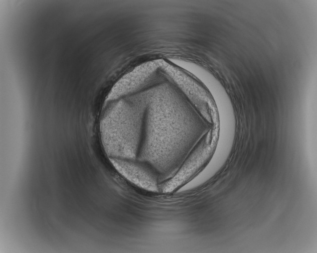 X0000115150750200911241528