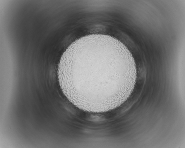 X0000115150753200911241528