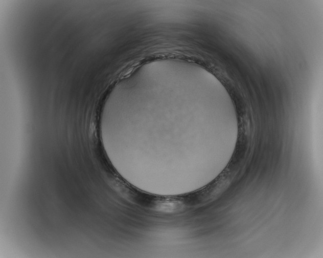 X0000115150754200911241528