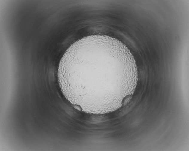 X0000115150757200911241528