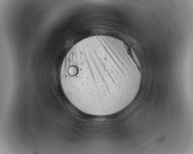 X0000115150759200911241528