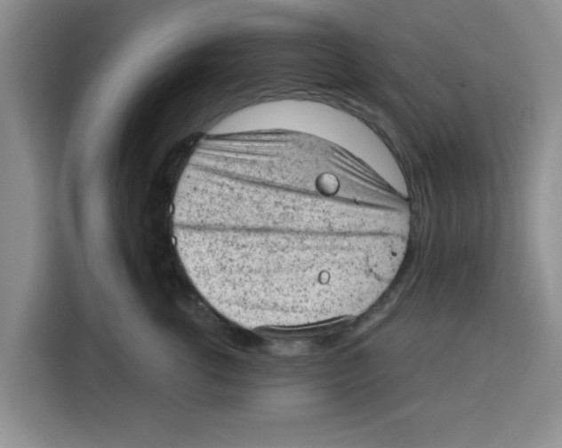 X0000115150762200911241529