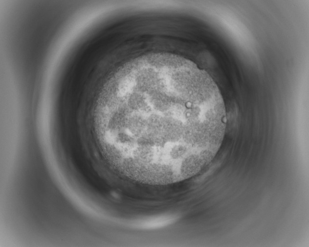 X0000115150765200911241529