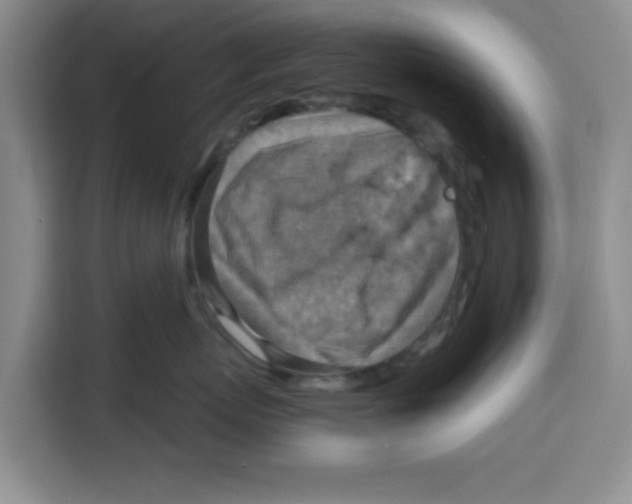 X0000115150767200911241529