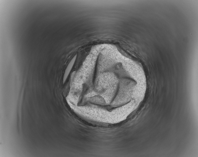 X0000115150769200911241528