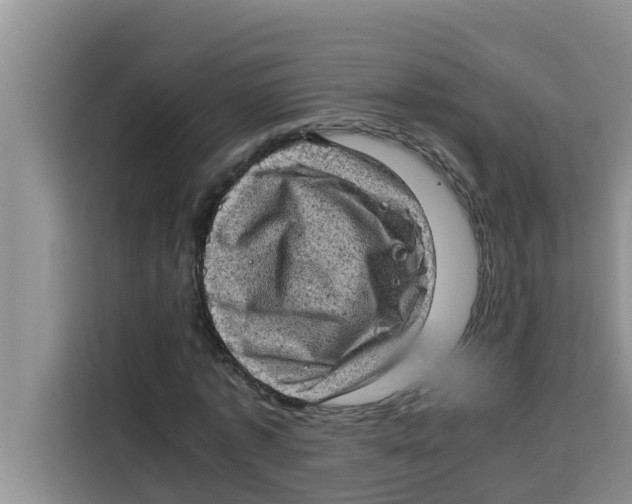 X0000115150773200911241528