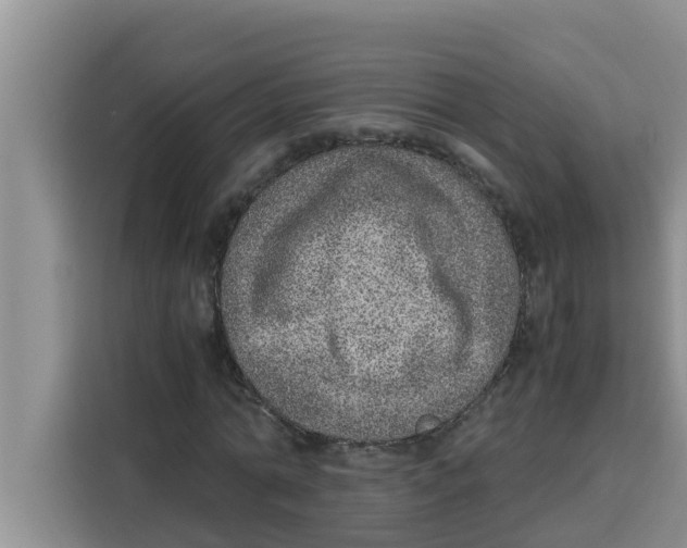 X0000115150774200911241528