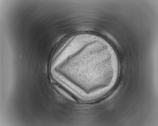 X0000115150777200911241528