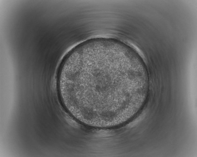 X0000115150779200911241528