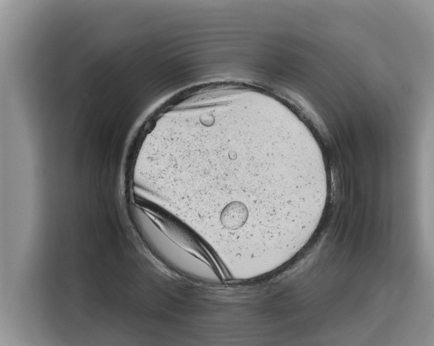 X0000115150780200911241528