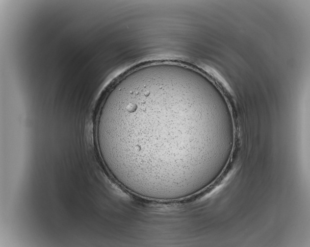 X0000115150781200911241528