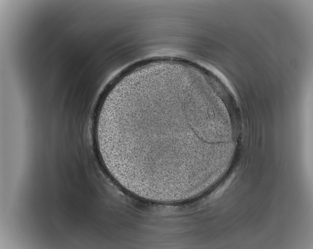 X0000115150783200911241528