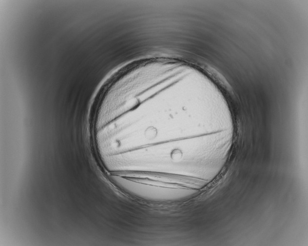 X0000115150784200911241528