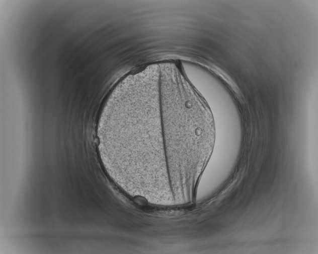 X0000115150793200911241528