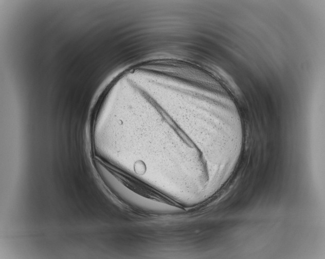 X0000115150796200911241528