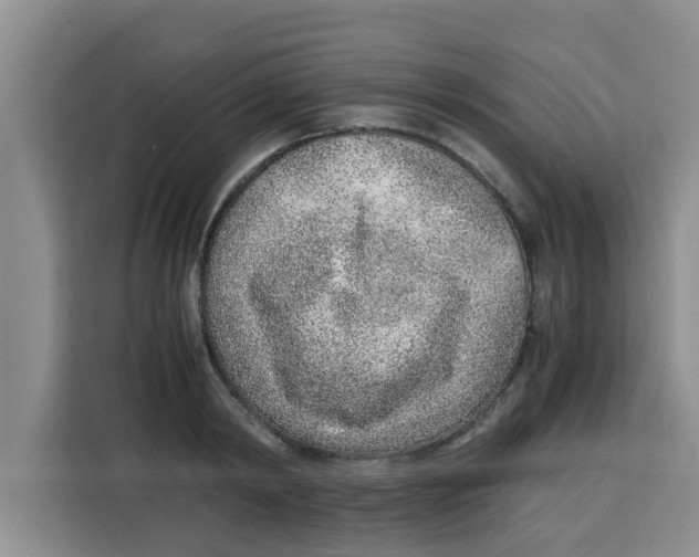 X0000115150798200911241528