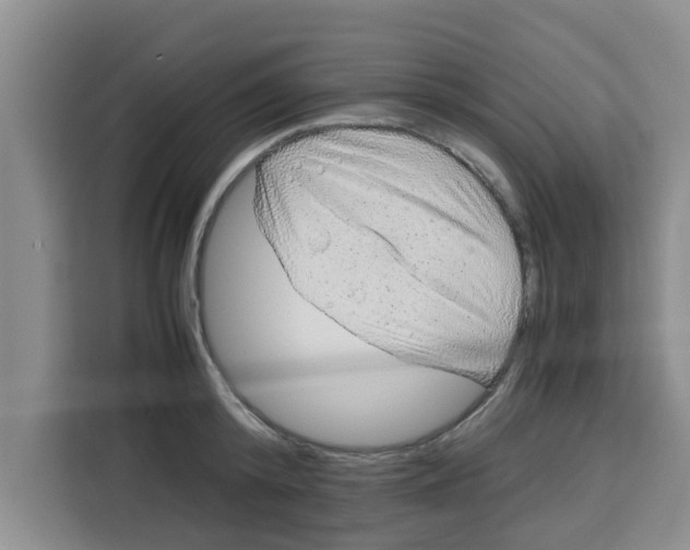 X0000115150800200911241528