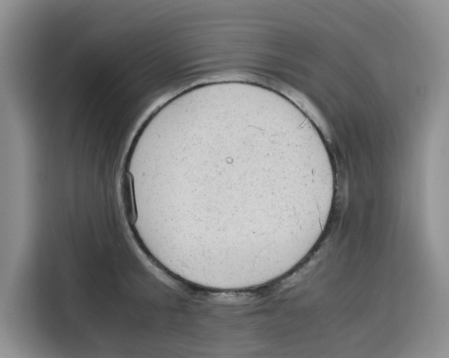 X0000115150805200911241527