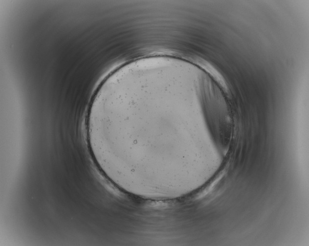 X0000115150806200911241527