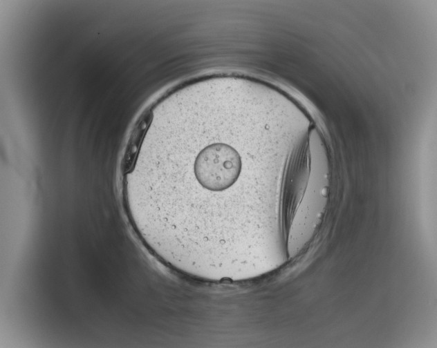 X0000115150807200911241527