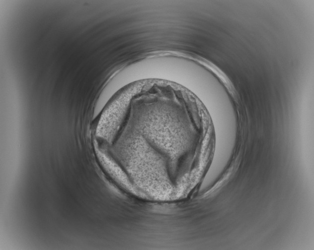 X0000115150809200911241527