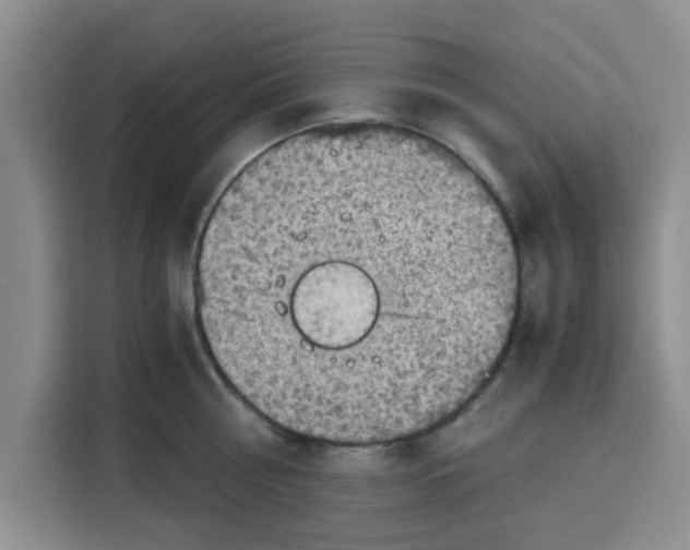 X0000115150810200911241527