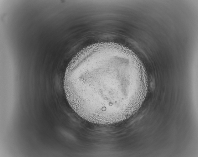 X0000115150819200911241527