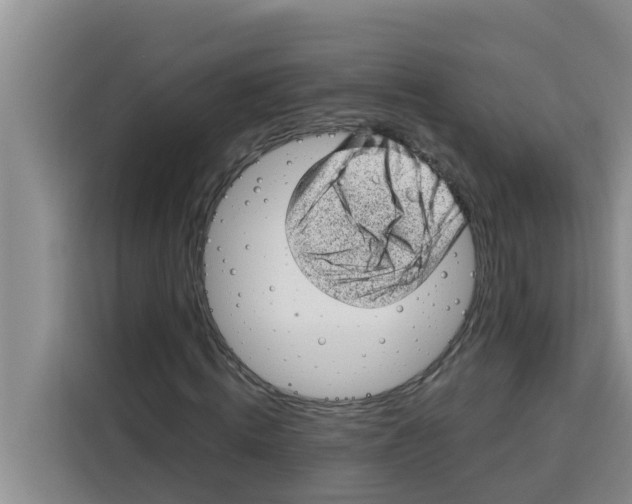 X0000115150820200911241527