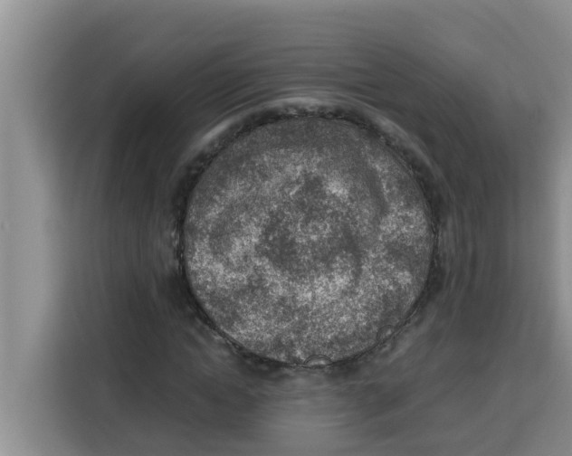 X0000115150822200911241527