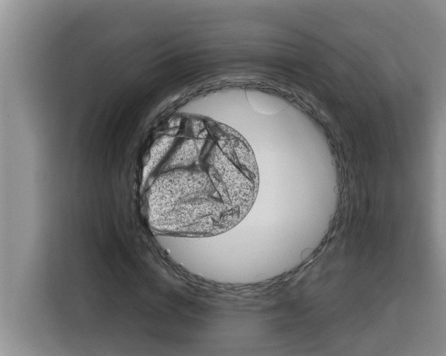 X0000115150824200911241527