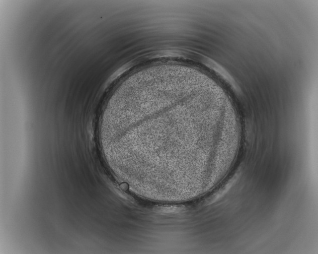 X0000115150826200911241527