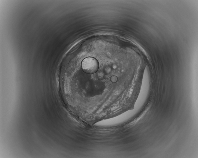 X0000115150829200911241527