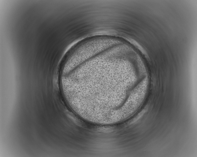 X0000115150830200911241527