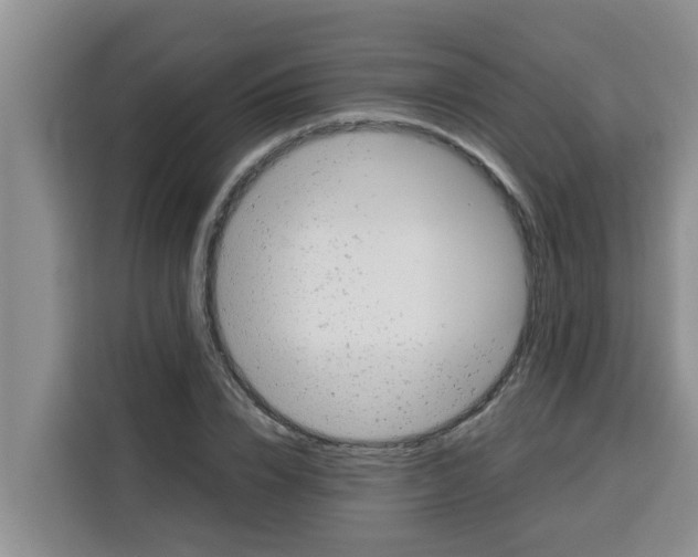 X0000115150832200911241527