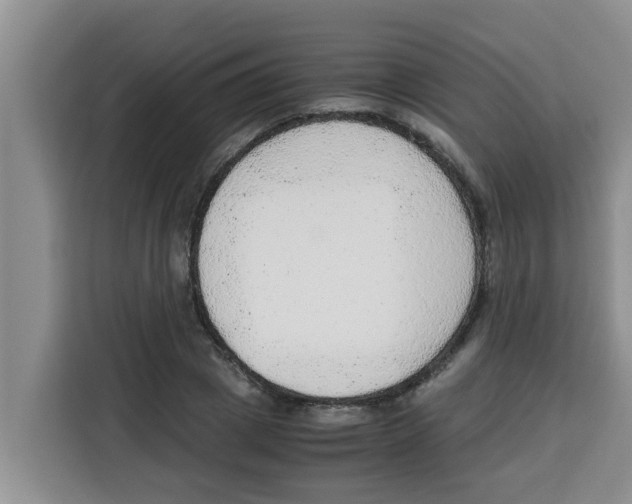 X0000115150833200911241527