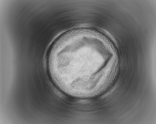 X0000115150835200911241527