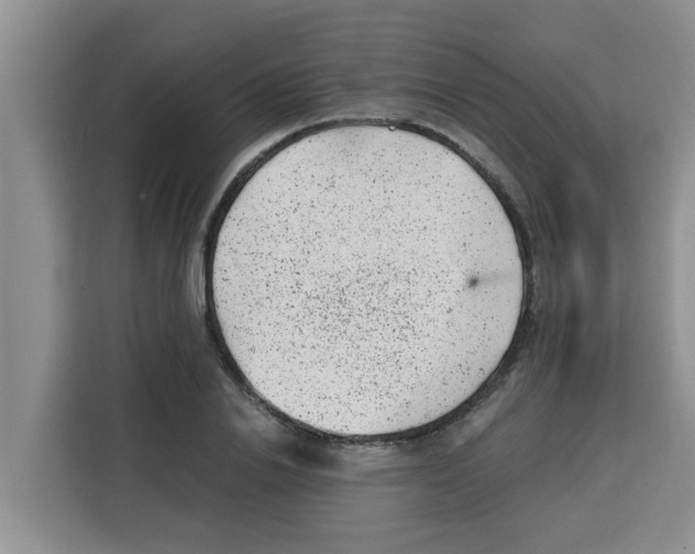 X0000115150838200911241527